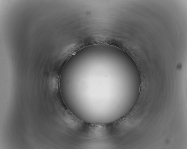 X0000091070768200708131152