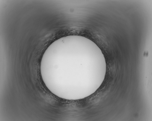 X0000091070769200708131152