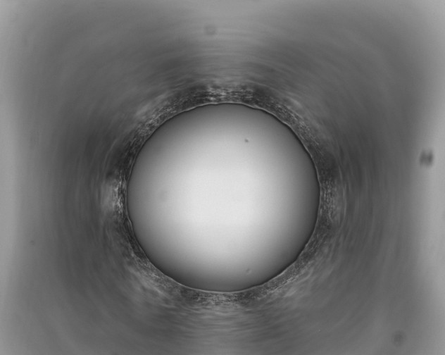 X0000091070770200708131152
