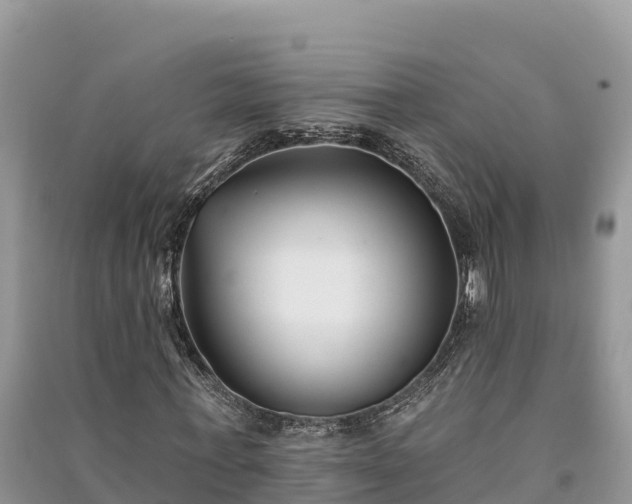 X0000091070771200708131152