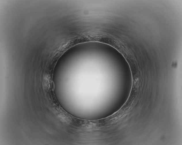 X0000091070772200708131152
