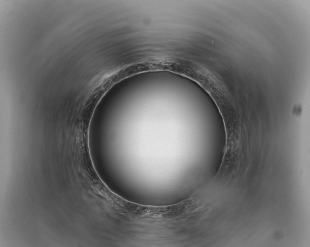 X0000091070773200708131152