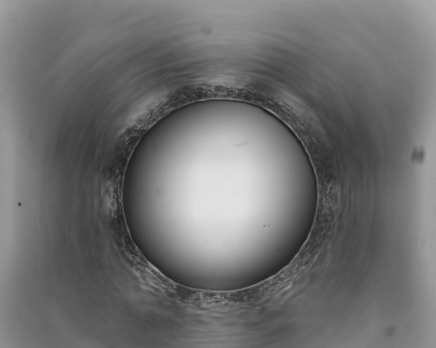 X0000091070774200708131152