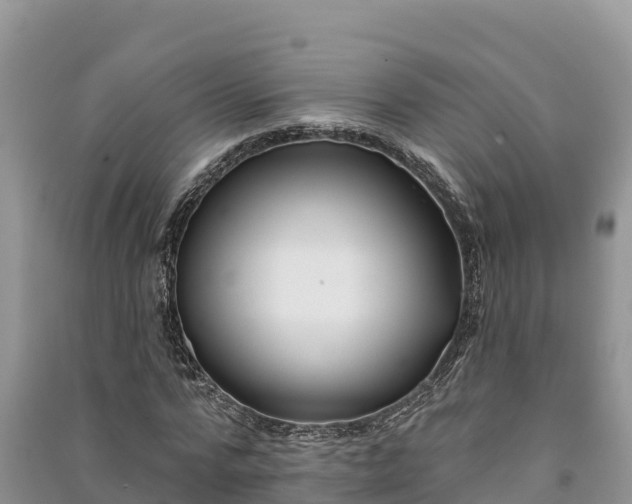 X0000091070776200708131152