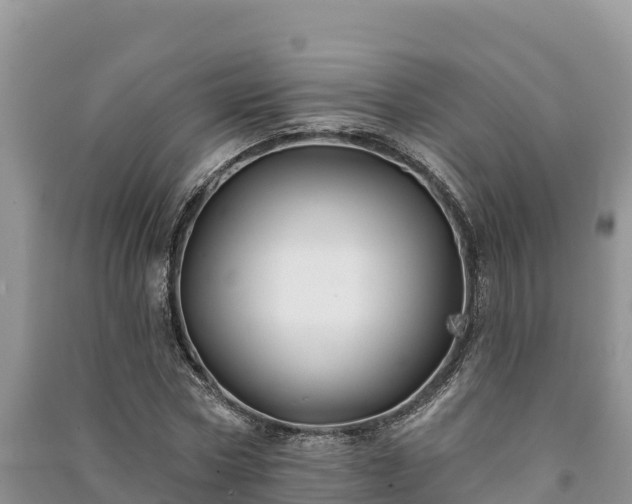 X0000091070778200708131152