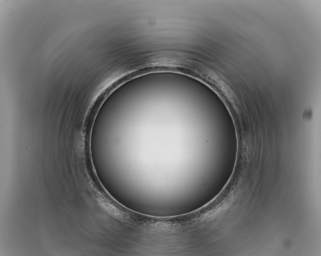 X0000091070779200708131152