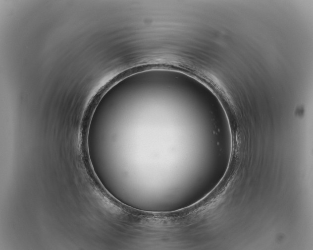 X0000091070780200708131152