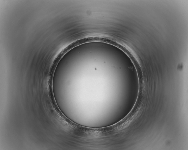 X0000091070783200708131152