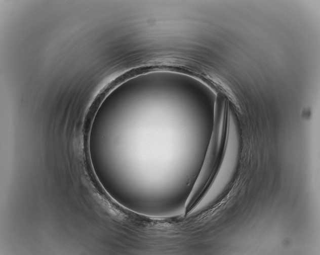 X0000091070784200708131152