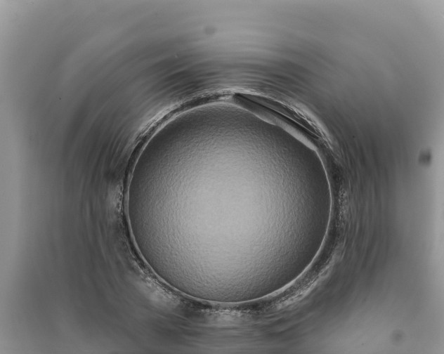 X0000091070785200708131152