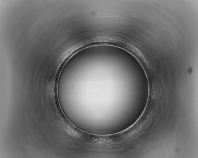 X0000091070786200708131151