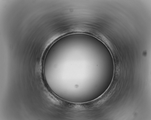 X0000091070787200708131151