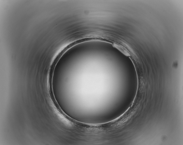 X0000091070788200708131151