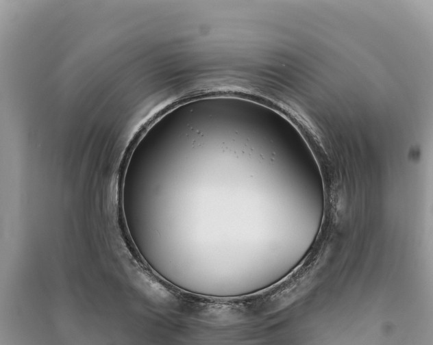 X0000091070790200708131151