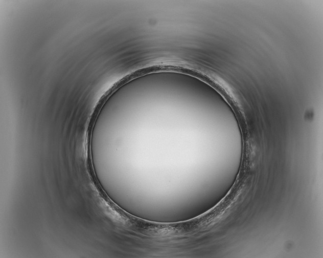 X0000091070791200708131151