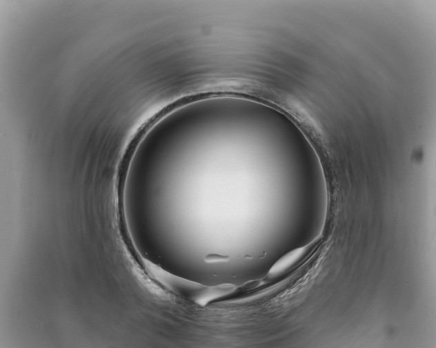 X0000091070792200708131151