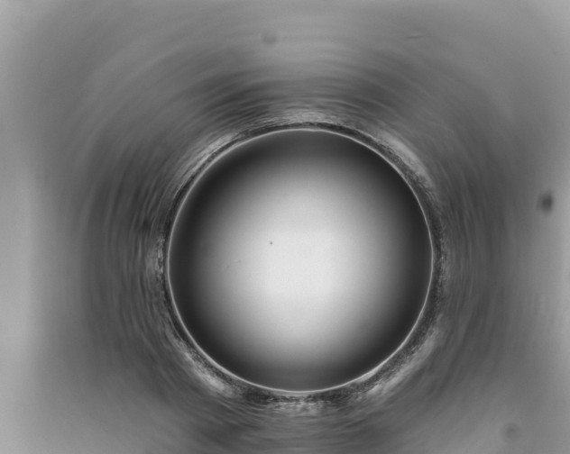 X0000091070793200708131151