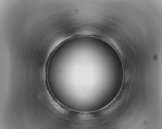X0000091070795200708131151