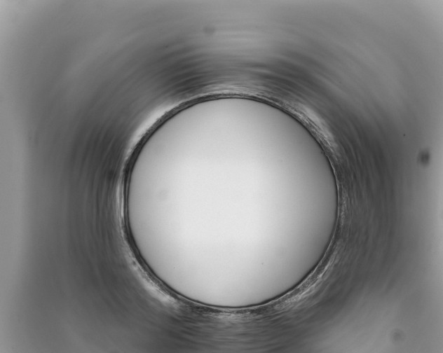 X0000091070796200708131151