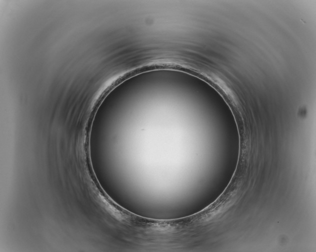 X0000091070799200708131151