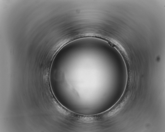 X0000091070801200708131151