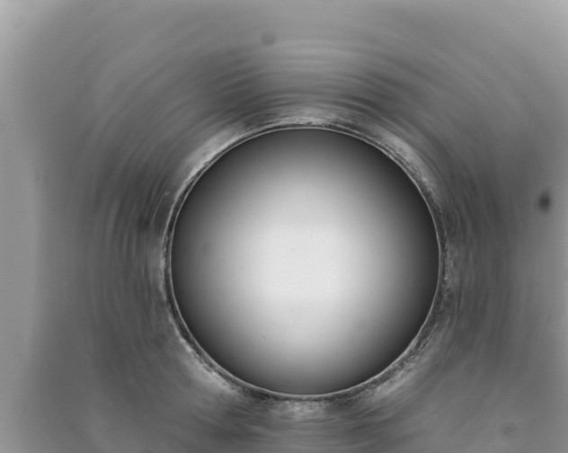 X0000091070802200708131151