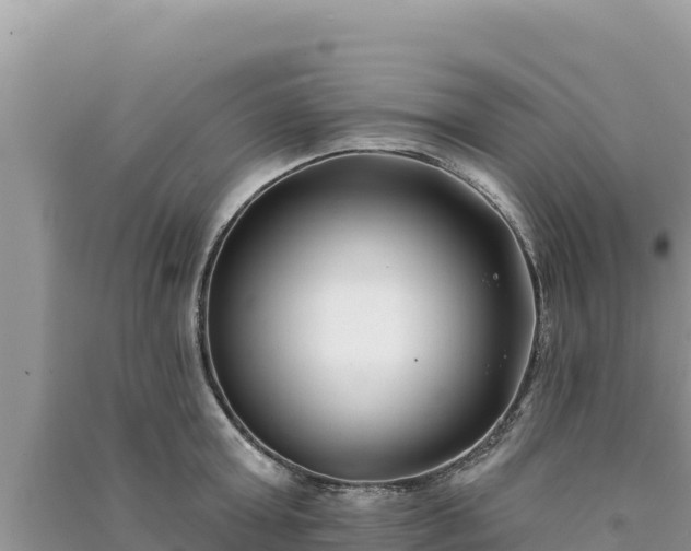 X0000091070803200708131151