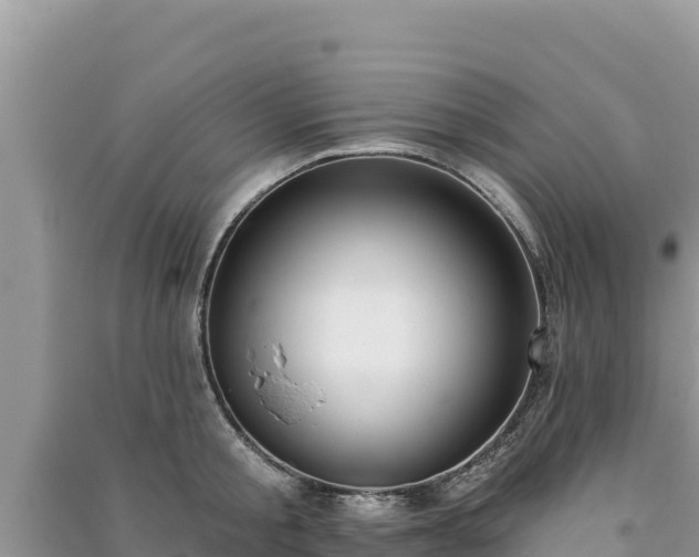 X0000091070805200708131151