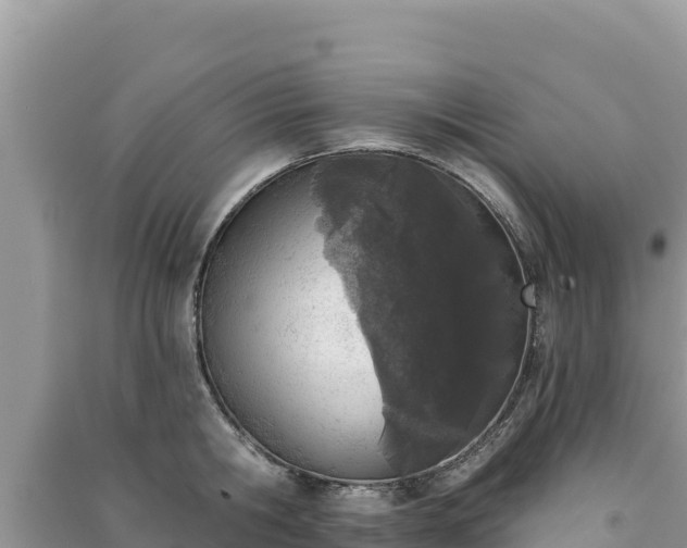 X0000091070806200708131151
