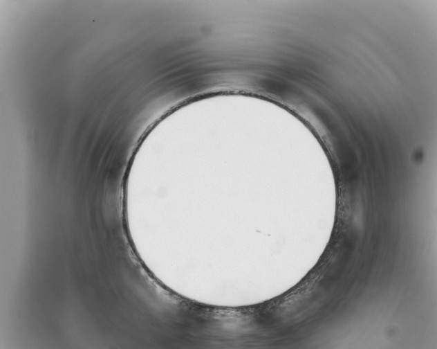 X0000091070807200708131151