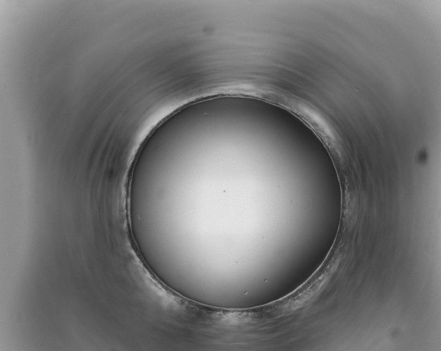 X0000091070808200708131151