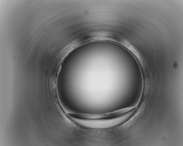 X0000091070809200708131151