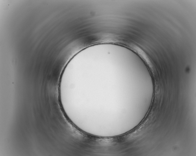 X0000091070810200708131151