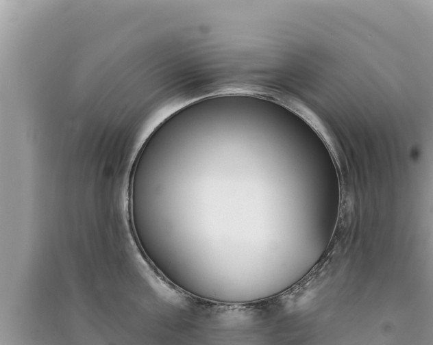 X0000091070811200708131151
