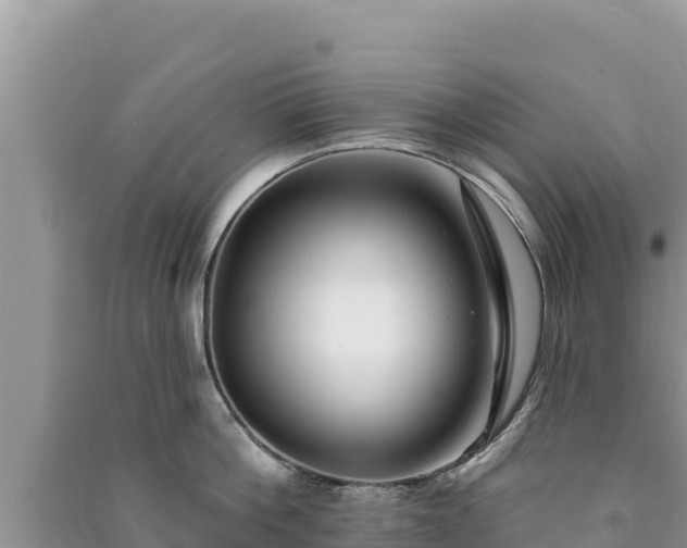X0000091070812200708131151
