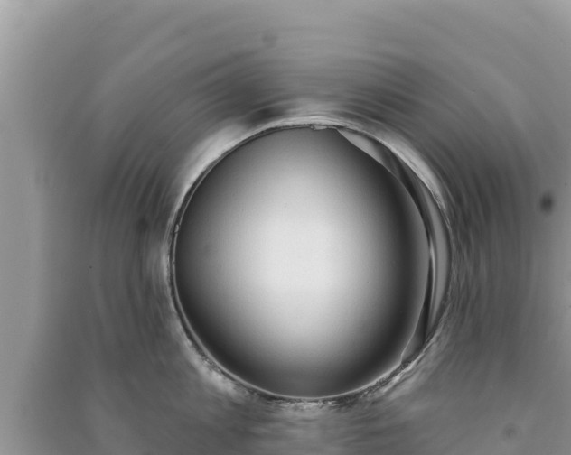 X0000091070813200708131151
