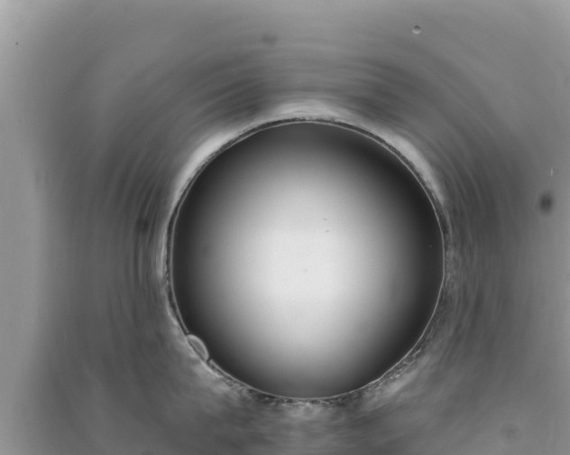 X0000091070815200708131151