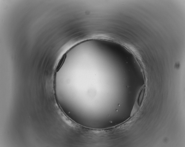 X0000091070816200708131151