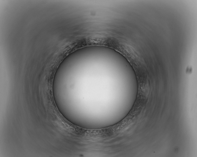 X0000091070817200708131150