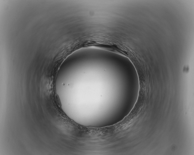 X0000091070818200708131150