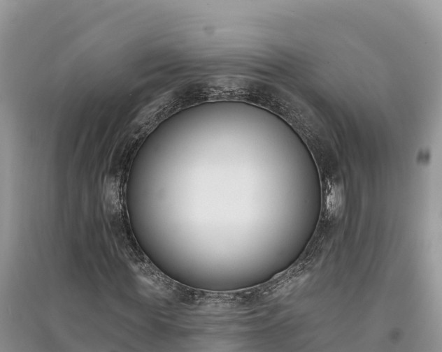 X0000091070819200708131150
