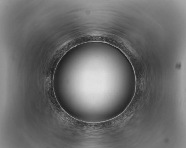 X0000091070821200708131150