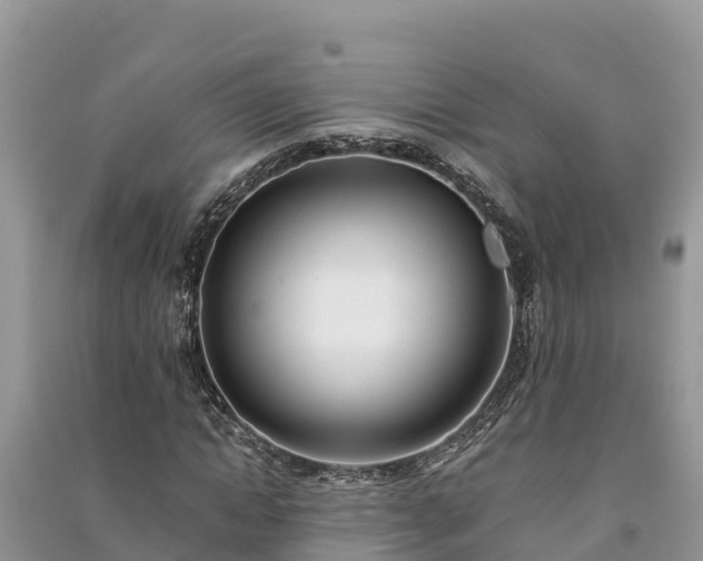 X0000091070822200708131150