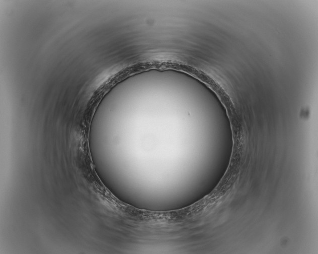 X0000091070823200708131150