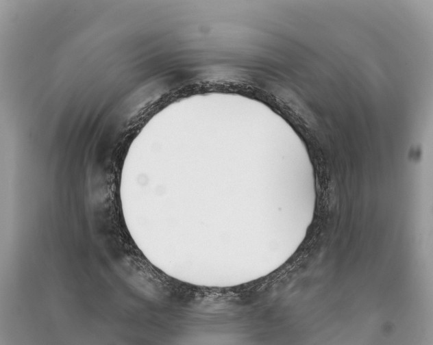 X0000091070824200708131151