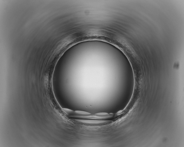 X0000091070825200708131151