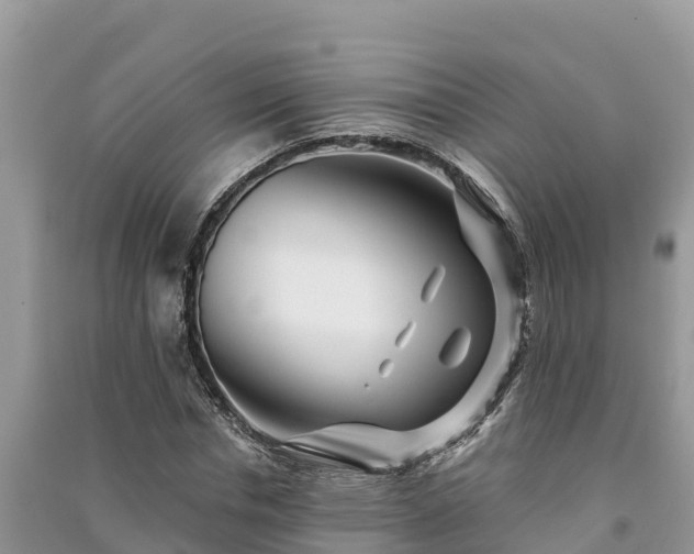 X0000091070826200708131151