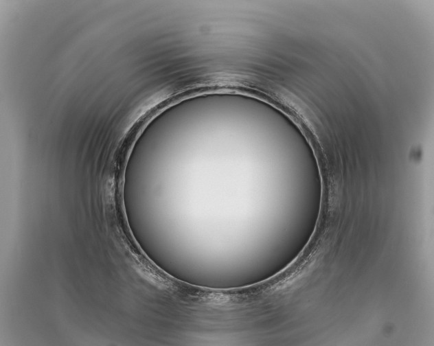 X0000091070827200708131151