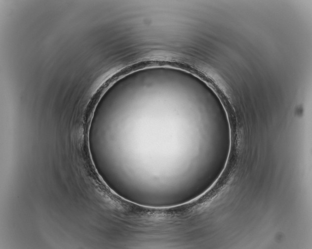 X0000091070829200708131151