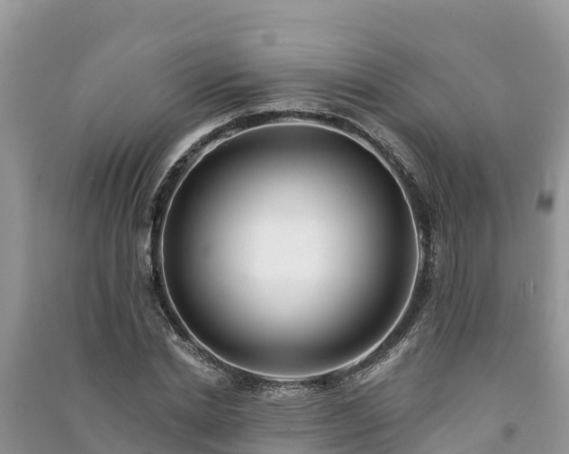 X0000091070830200708131151
